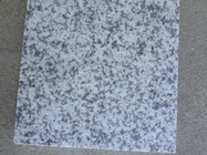 De alkaliplak van de de Steentegel van het Weerstandsg603 Opgepoetste Graniet voor Countertop