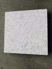 Aangepaste het Graniet Tegenbovenkanten van Groottepearl white voor Tuin