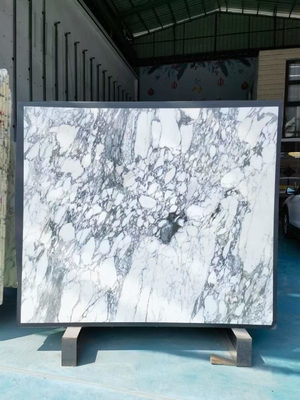 Wand en vloer Modern ontwerp Sneeuwwit Marmeren tafel met bruine aders