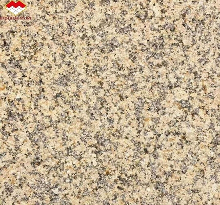 Modern Chinees gebrand graniet voor buiten-interieur wandbekleding