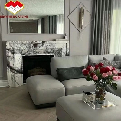 Moderne mini handgemaakte mantel kunstbeeldhouwwerk gebogen Frans New York marmer binnenshuis geurige sneeuw pruim open haard omgeven