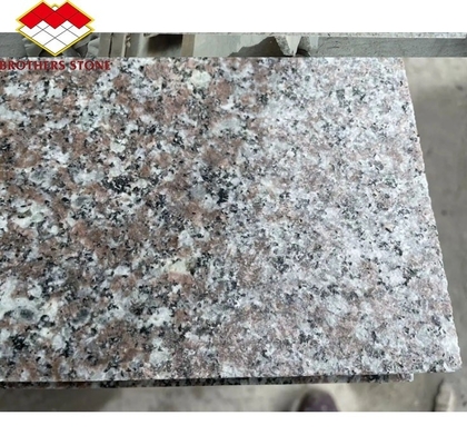 Moderne gepolijste natuurlijke roze Porino Granite Slab G664 op maat gesneden China Roze Porno Rosa prijzen