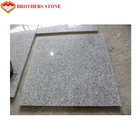 De grote Gevlamde Plak van het het Kristal Grijze Graniet van de Granietsteen Natuurlijke G603 Bianco