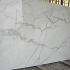 Sorteer een Italiaans Marmeren van de Steentegel Wit Carrara Marmer van Bianco dat aan Grootte wordt gesneden