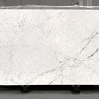 Sorteer een Italiaans Marmeren van de Steentegel Wit Carrara Marmer van Bianco dat aan Grootte wordt gesneden