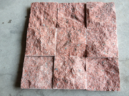 De Keukencountertop van het rode Kleuren Ruwe Graniet Plak 2,73 g/cm3 van Vloertegels 50x50