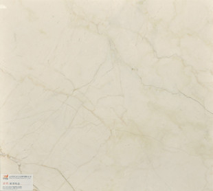 Sofitel Gouden Elegante 60*60 1.5cm Marmeren Steenplak